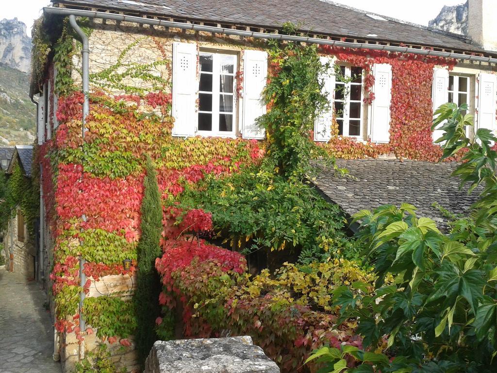 Ermitage De Peyreleau Acomodação com café da manhã Exterior foto